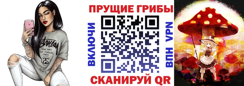 где найти   Челябинск  hydra онион  Псилоцибиновые грибы ЛСД 