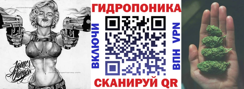 купить наркотик  Челябинск  MEGA сайт  Бошки Шишки планчик 